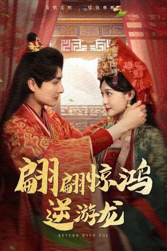 翩翩惊鸿逆游龙 dizi afişi