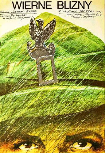 Wierne blizny film afişi