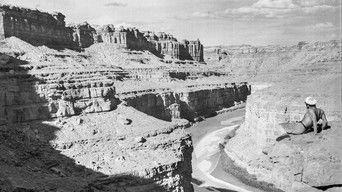 Buzz Holmstrom & 1 Million Plants In A Year