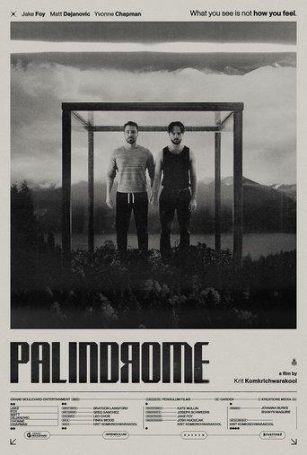 Palindrome film afişi