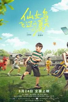 仙女鸟飞过的夏天 film afişi