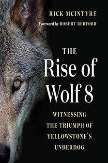 The Alpha Wolves of Yellowstone film afişi