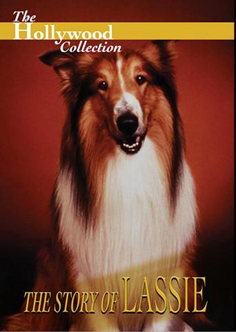 The Story of Lassie film afişi