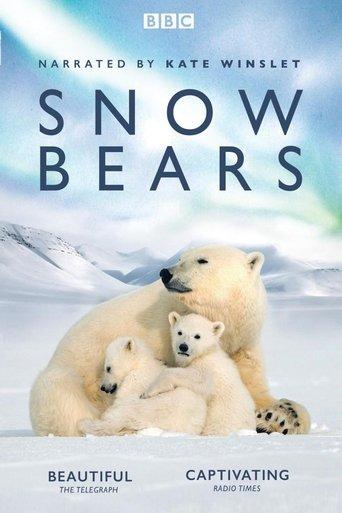 Snow Bears film afişi