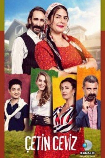 Çetin Ceviz film afişi