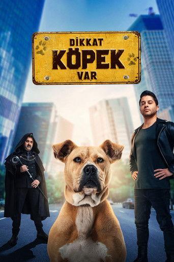 Dikkat Köpek Var film afişi