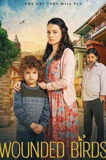 Wounded Birds dizi afişi