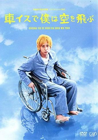 I Will Fly to the Sky on a Wheelchair film afişi