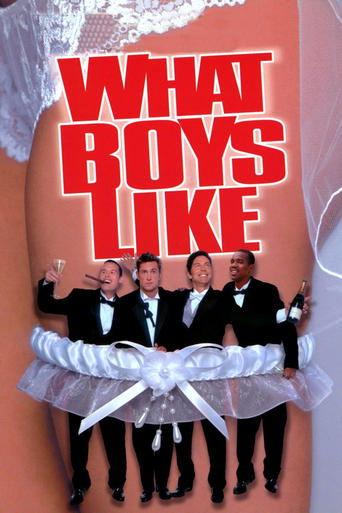 What Boys Like film afişi