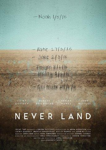 Never Land film afişi