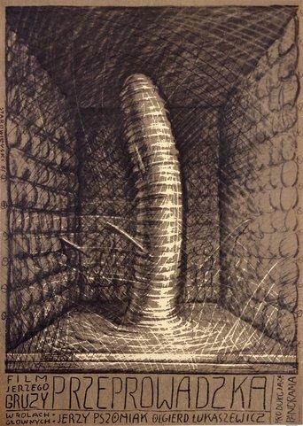 Przeprowadzka film afişi