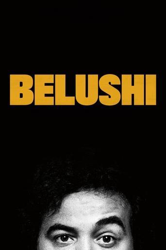 Belushi film afişi
