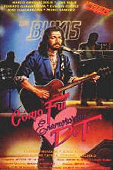 How Did I Come to Fall in Love With You? film afişi