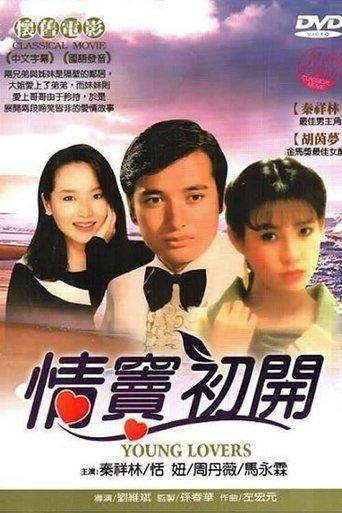 情竇初開 film afişi