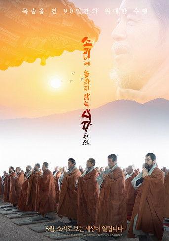 소리에 놀라지 않는 사자처럼 film afişi