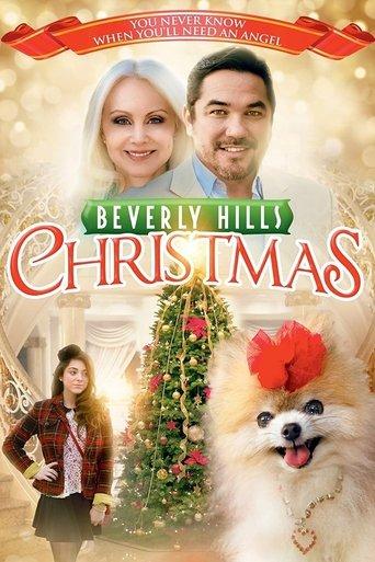Beverly Hills Christmas film afişi