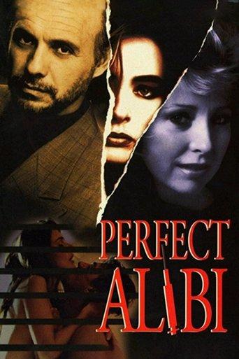 Perfect Alibi film afişi