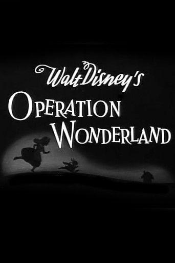 Operation Wonderland film afişi