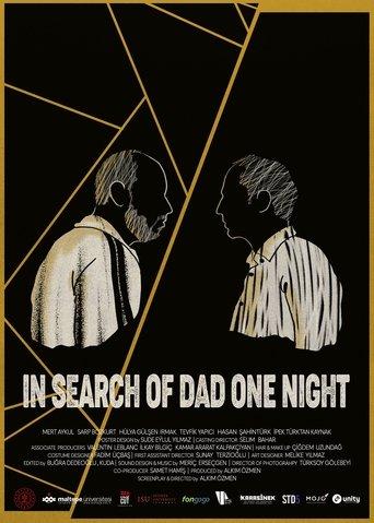 In Search of Dad One Night film afişi