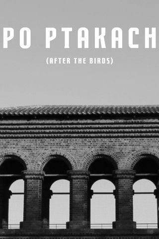 After The Birds film afişi