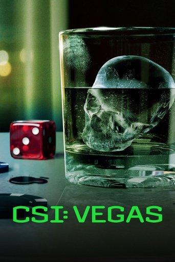 CSI: Vegas dizi afişi