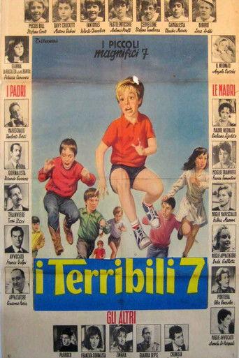 I terribili sette film afişi