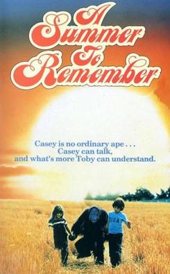 A Summer to Remember film afişi