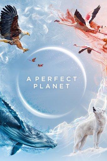 A Perfect Planet dizi afişi