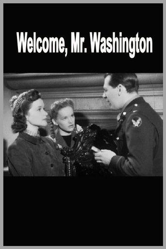 Welcome, Mr Washington film afişi
