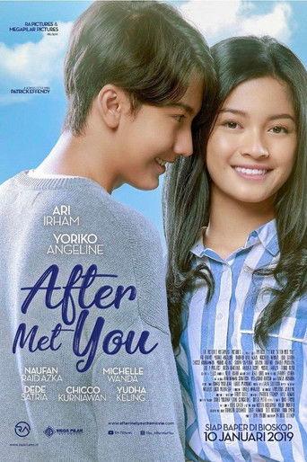 After Met You film afişi