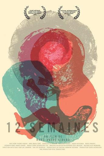 12 Weeks film afişi