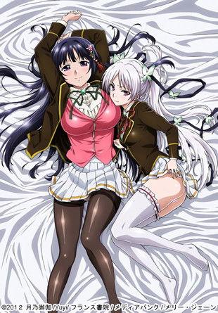 Ojou-sama☆Yomeiri Kousou! dizi afişi