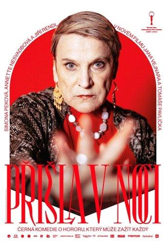 She Came at Night film afişi