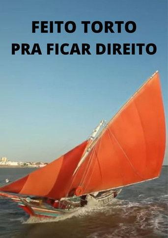 Feito Torto pra Ficar Direito film afişi
