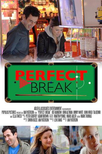 Perfect Break film afişi