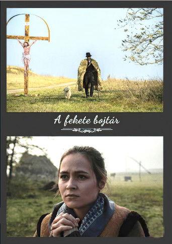 A fekete bojtár film afişi