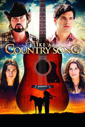 Like a Country Song film afişi