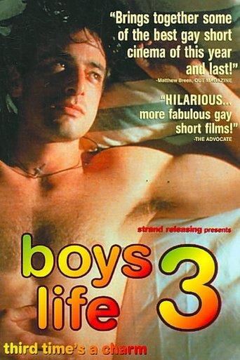 Boys Life 3 film afişi