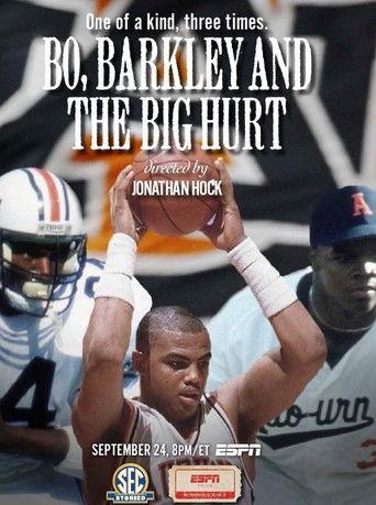 Bo, Barkley and the Big Hurt film afişi