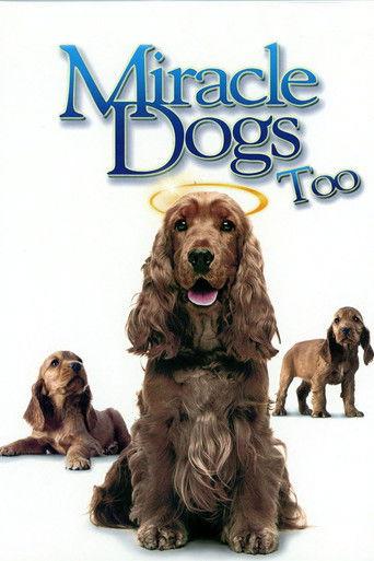 Miracle Dogs Too film afişi