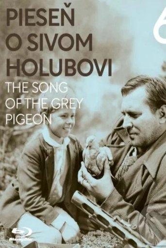 The Song of the Grey Pigeon film afişi