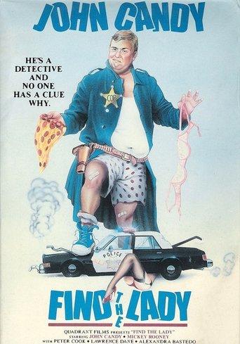 Find the Lady film afişi