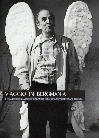 Viaggio in Bergmania film afişi