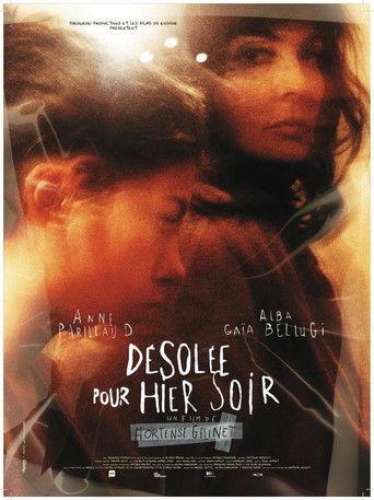 Désolée pour hier soir film afişi