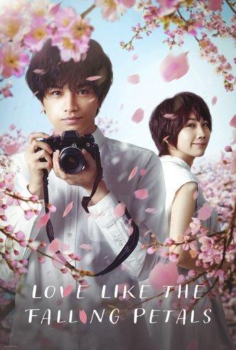 Love Like the Falling Petals film afişi