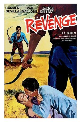 Revenge film afişi
