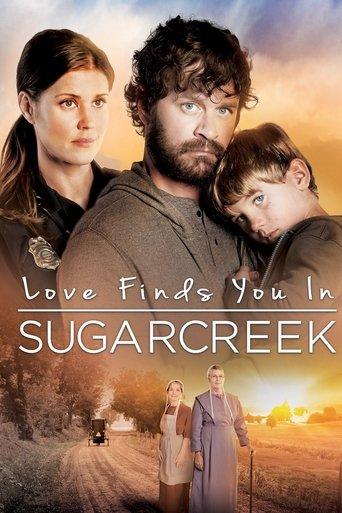 Love Finds You In Sugarcreek film afişi