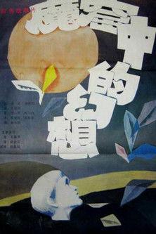 Visions from a Jail Cell film afişi