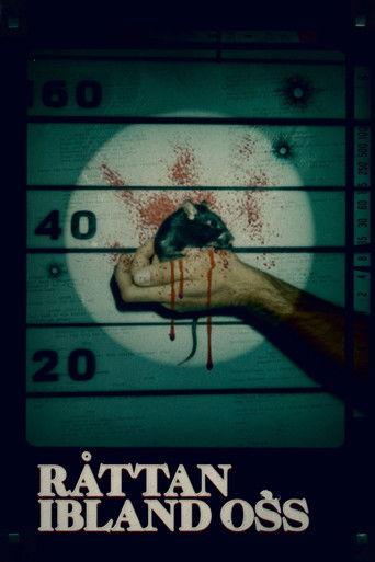 Råttan ibland oss film afişi