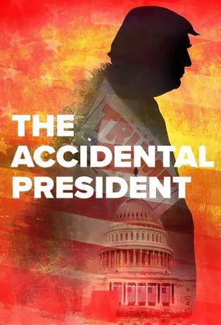 The Accidental President film afişi